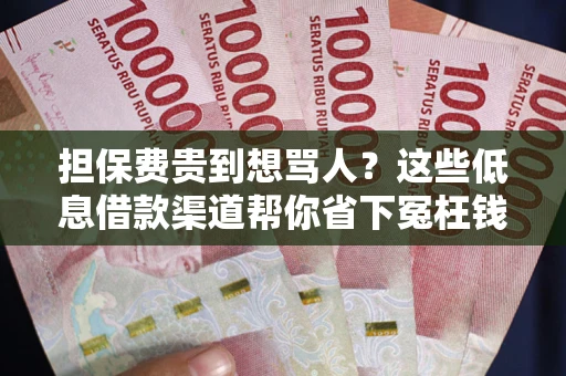 北京担保费贵到想骂人？这些低息借款渠道帮你省下冤枉钱