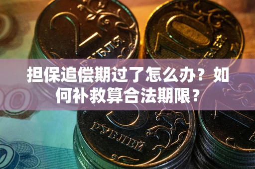 北京担保追偿期过了怎么办？如何补救算合法期限？