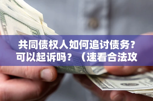 北京共同债权人如何追讨债务？可以起诉吗？（速看合法攻略）